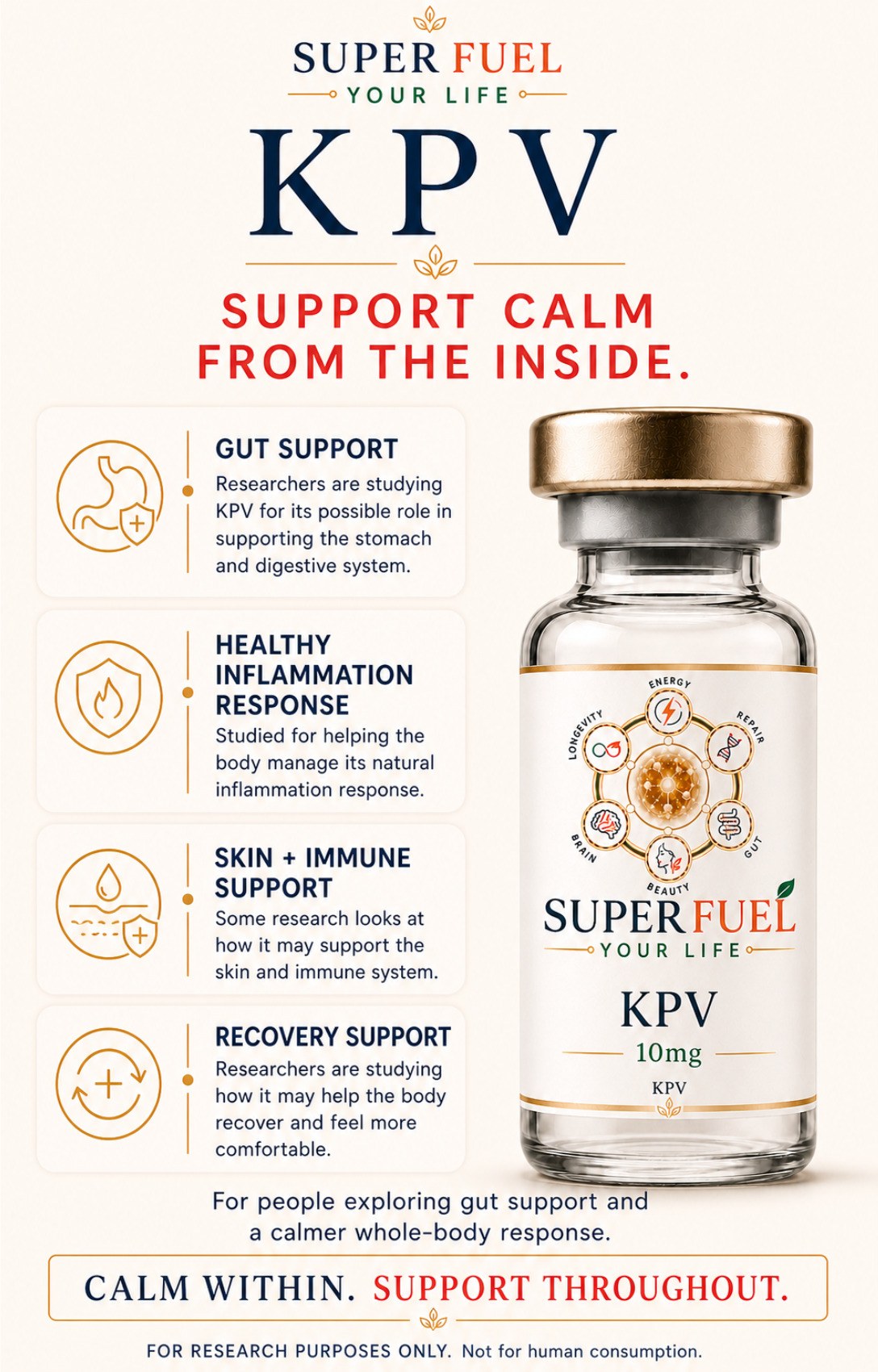 Super Fuel Your Life guide page 30