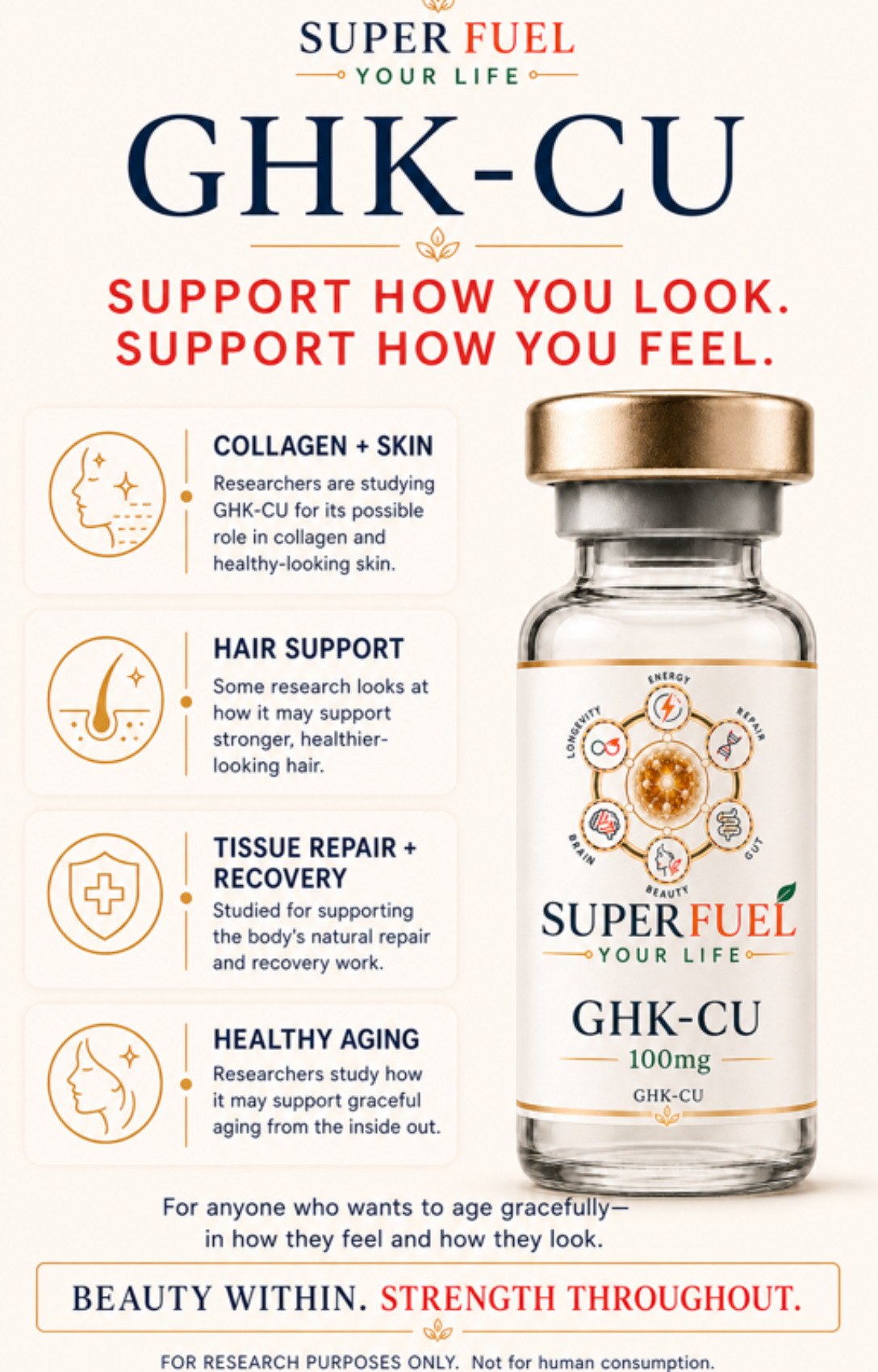 Super Fuel Your Life guide page 33