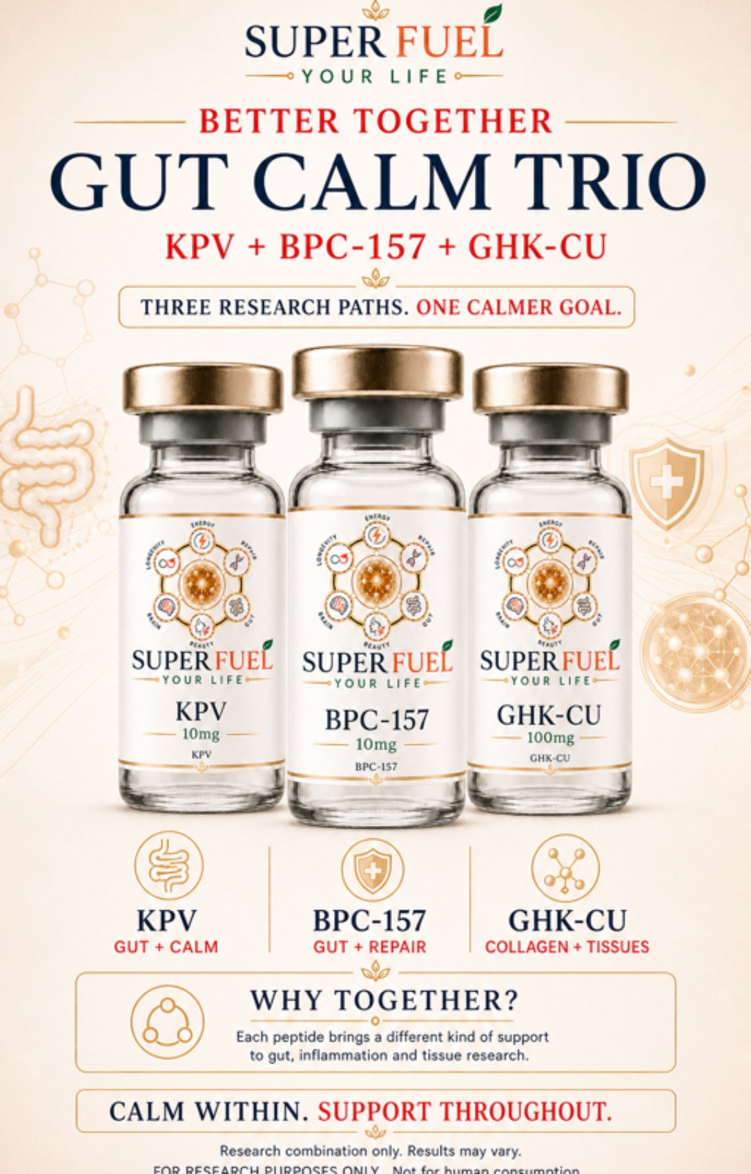 Super Fuel Your Life guide page 48
